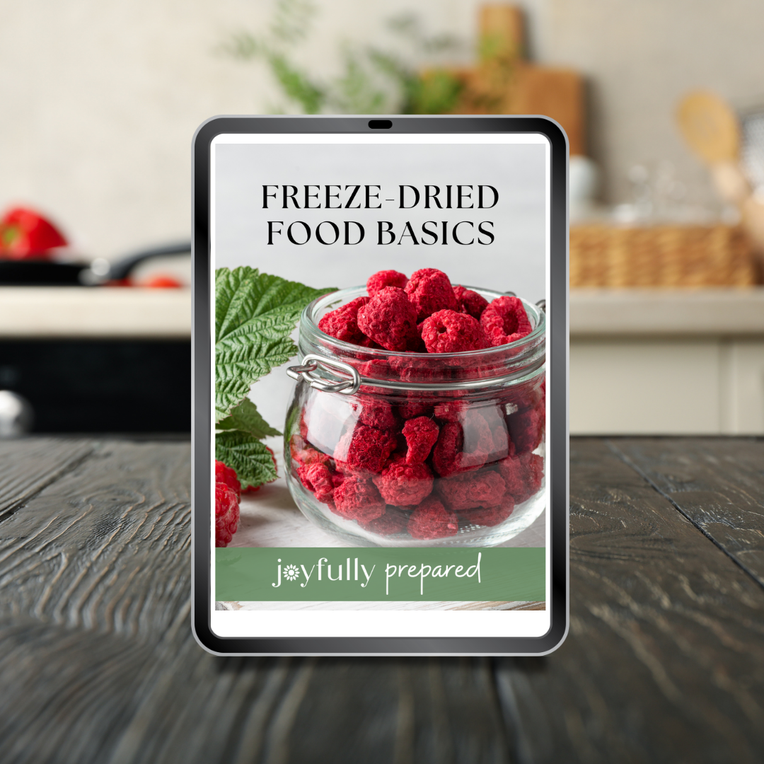 freeze dried food basics