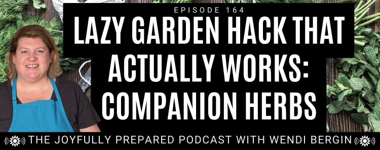 Episode 164: Lazy Garden Hack That Actually Works: Companion Herbs