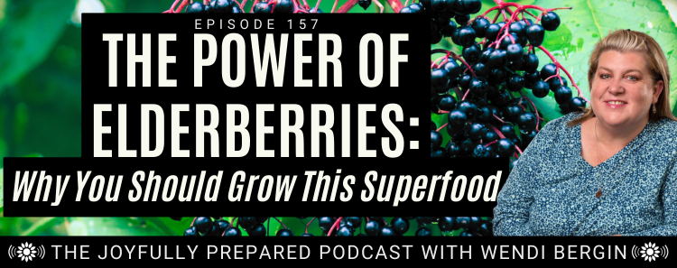 Episode 157: The Power of Elderberries: Why You Should Grow This Superfood